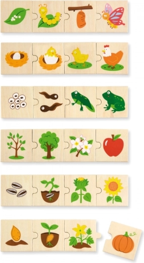 Variedad de motivos de animales y plantas