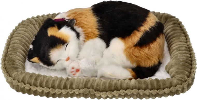 Cama suave para acurrucarse o exhibir