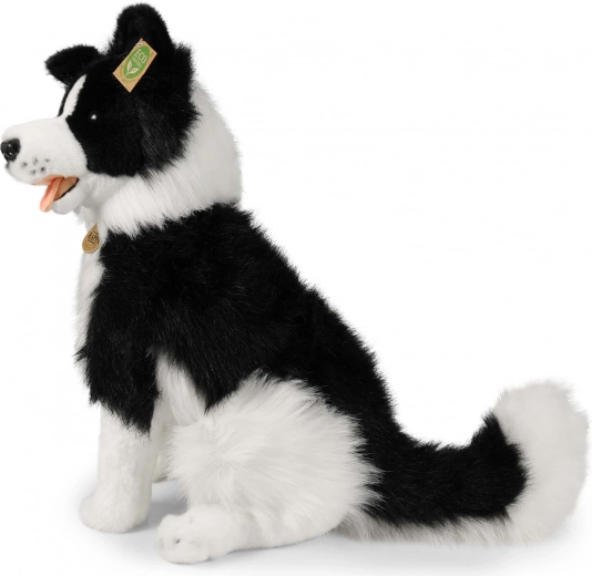 Seguro para niños desde el nacimiento