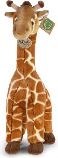 Relleno eco‑friendly de botellas PET recicladas