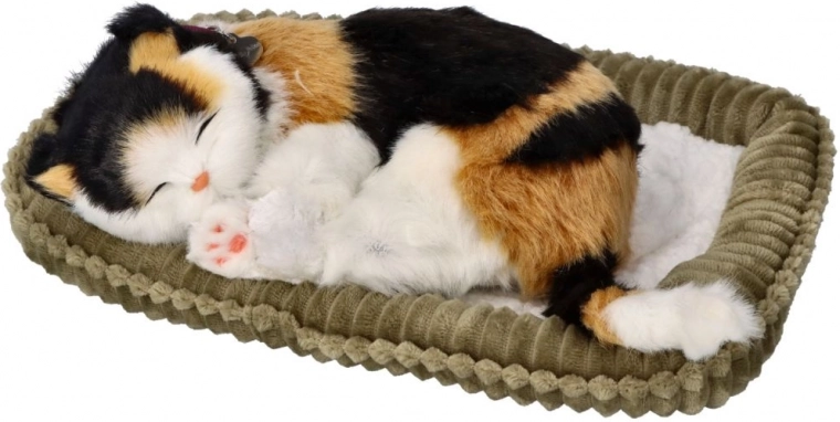 Respiración realista y sueño relajante