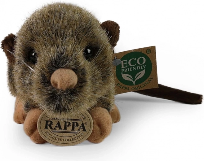 Segura desde el nacimiento