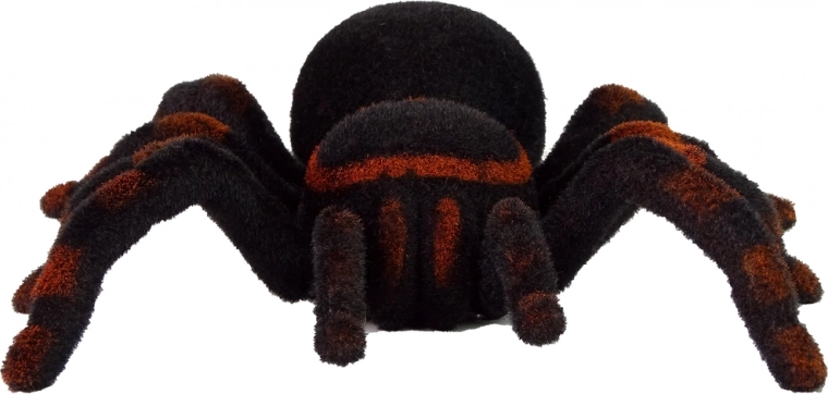 Diseño realista de la araña