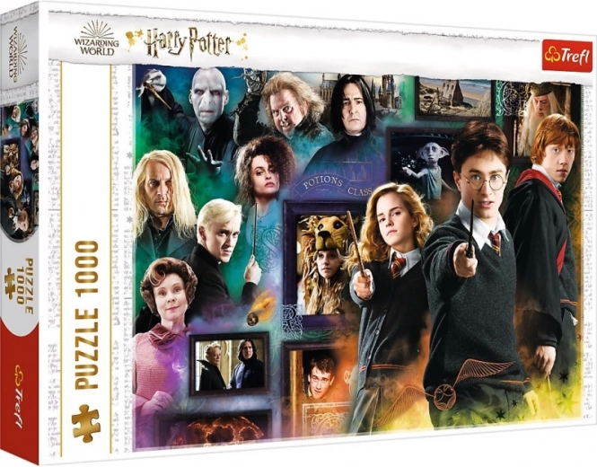 Collage detallado de personajes de HARRY POTTER