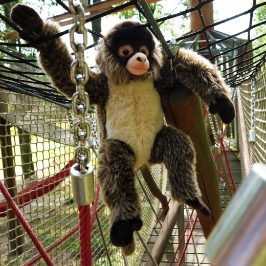 Apto para los más pequeños