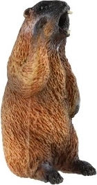 Uso educativo y decorativo