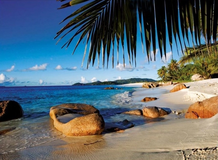 Escena tropical