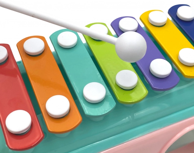 Diversión musical con xilófono