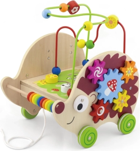 5 actividades divertidas en un solo erizo