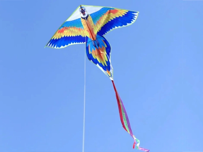 Vuelo estable con cola larga