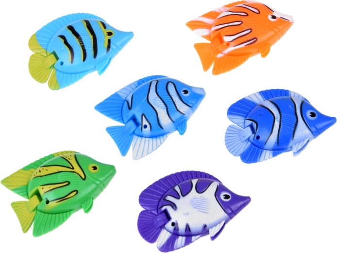 6 pececitos multicolores