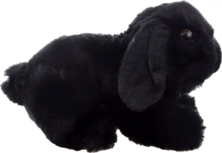 Procesamiento eco-friendly