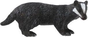 Rasgos característicos del tejón