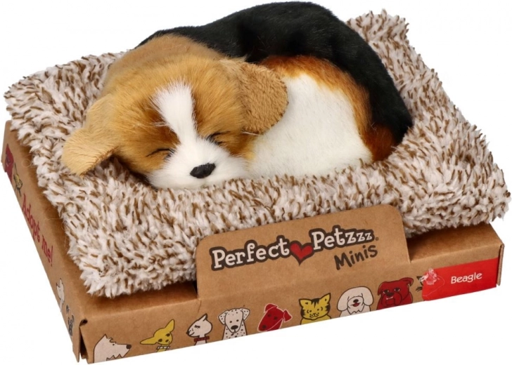 Empaque compacto y para regalo