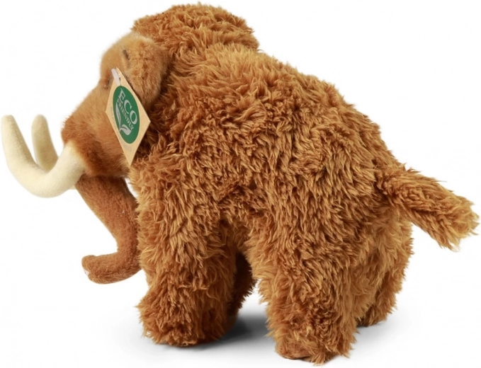 Seguro desde el nacimiento