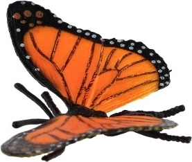 Decoración universal y recurso didáctico