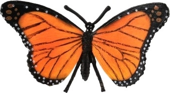 Colores y patrón de alas realistas