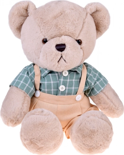 Camisa con estilo en cuadros retro