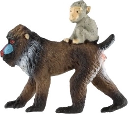 Plástico resistente para el juego diario