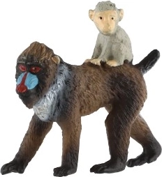 Hembra con la cría a la espalda