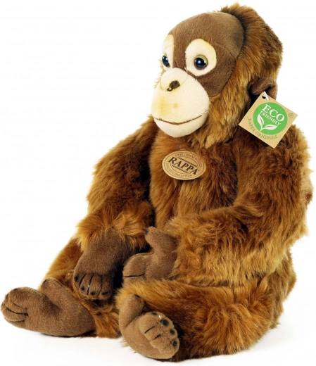 Relleno eco-friendly de botellas PET recicladas