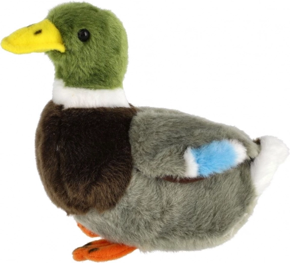 Suave y seguro desde el primer día