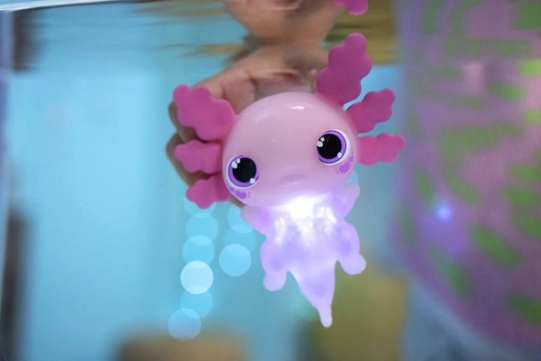 Luz mágica en el agua