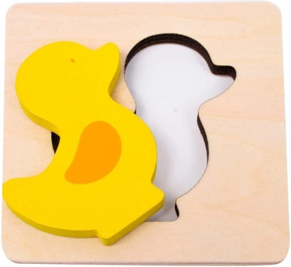 Apta para personas con discapacidad visual