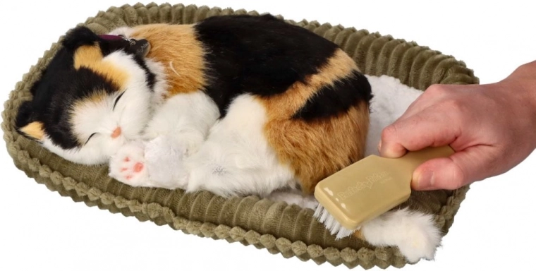 Cuidado sencillo y cepillado suave