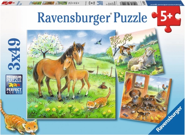 Tres puzzles en un solo paquete