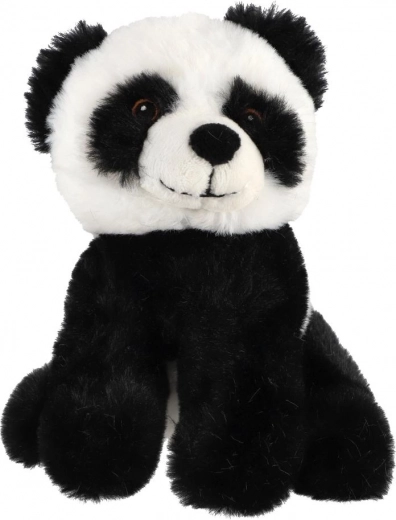 Diseño seguro desde el nacimiento