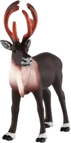 Base estable y uso universal