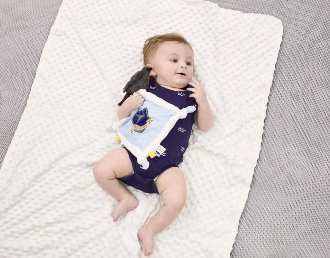 Escudo de Ravenclaw para pequeños fans