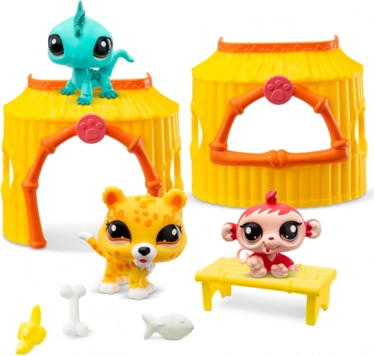 Accesorios variados para un juego divertido