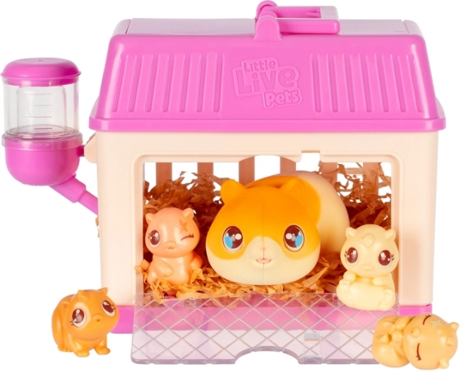 Casita acogedora para jugar y cuidar