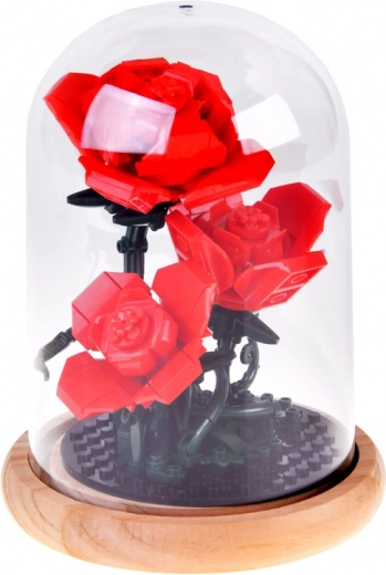 Cúpula estable con base de madera