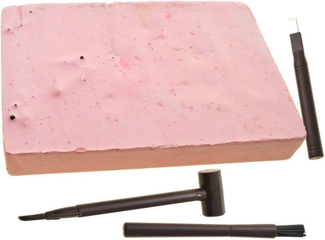 Descubre esqueletos como un verdadero paleontólogo