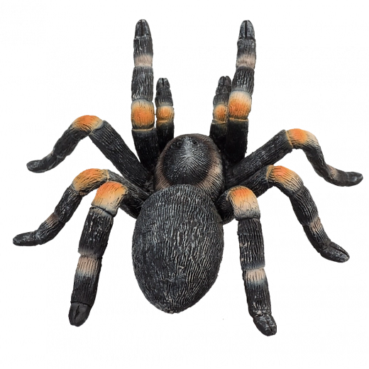 Diseño resistente y seguro