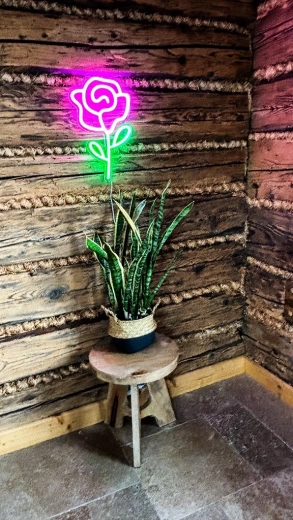 Decoración perfecta para un interior moderno