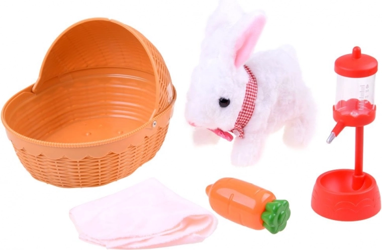 Todo para cuidar a la mascota en un solo set