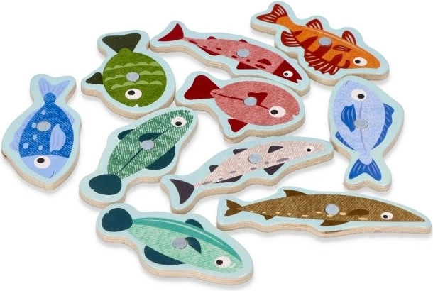 Los peces de colores llaman la atención