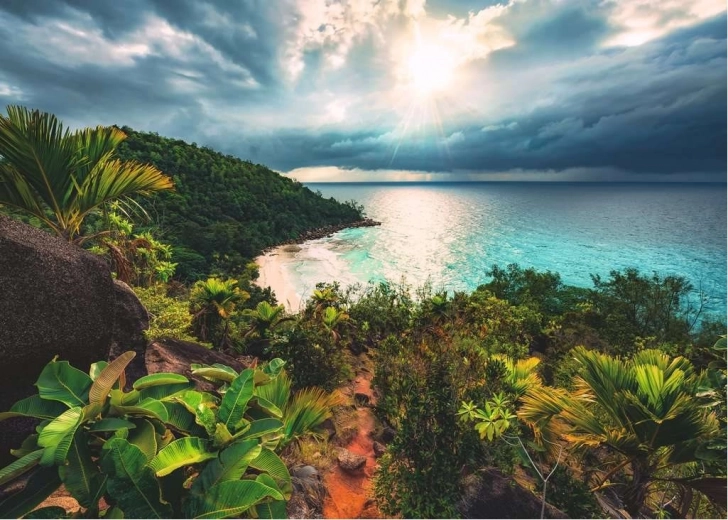Impresionante motivo de paraíso tropical