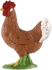 Plástico resistente para educación y decoración