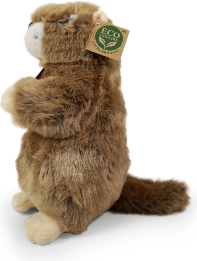 Relleno eco-friendly de botellas PET