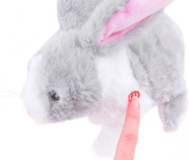 Salta y responde al tacto