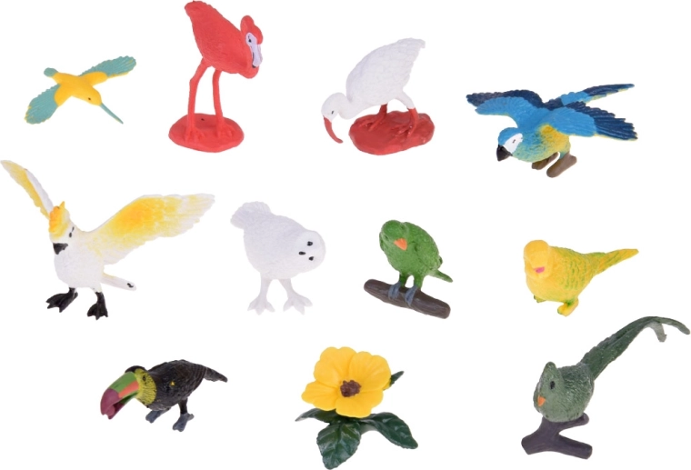 Set variado de 10 aves exóticas