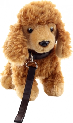 Seguro y apto desde 0+