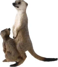 Plástico resistente y seguro para niños