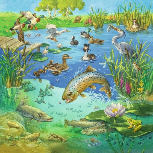 Ilustración vívida de un estanque