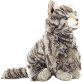 Diseños y colores realistas